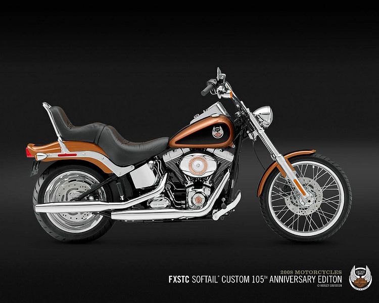 Harley Davidson FXSTC Softail Custom (2008)