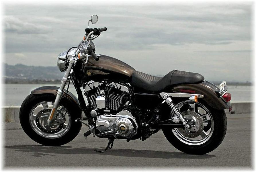 Harley Davidson XL1200C Sportster Custom 110th Anniversary (2013)