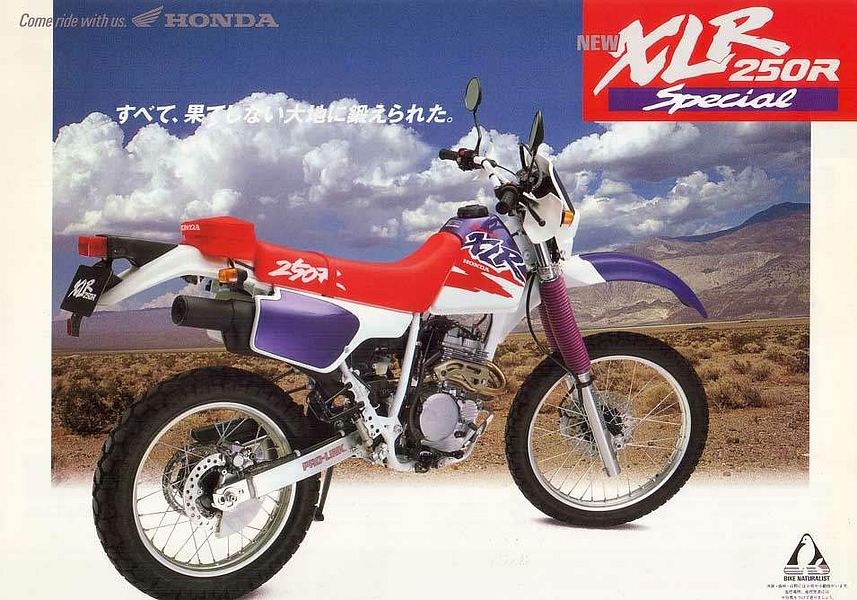 Honda XLR250R (1993-94)
